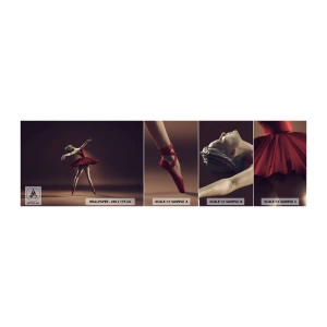 Muestra de fotomural autoadhesivo Deluxe Sticker - Primera bailarina - Bailarina, Bailar, Ballet - 100x30 cm