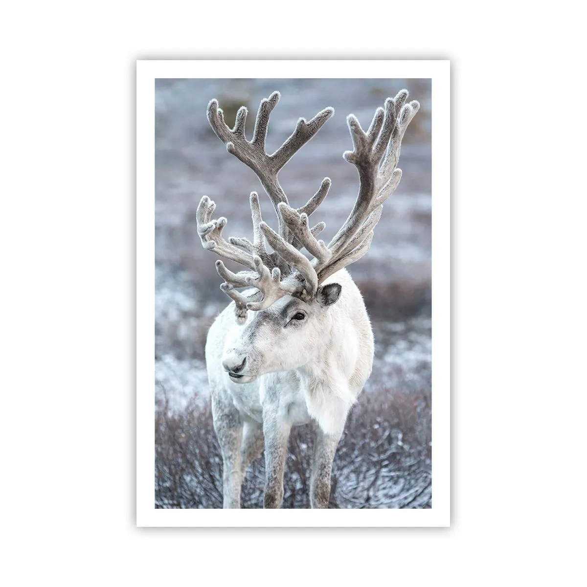 Póster - Retrato al sol - 61x91 cm