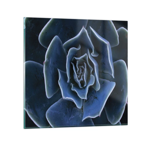 Cuadro sobre vidrio - Impresiones sobre Vidrio - Flor del desierto - 70x70 cm
