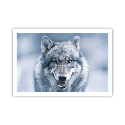 Póster - ¿Aceptarás el reto? - 91x61 cm