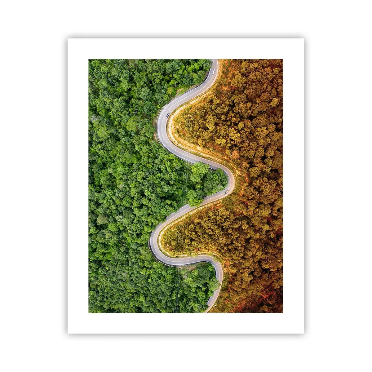 Póster - Frontera serpenteante - 40x50 cm