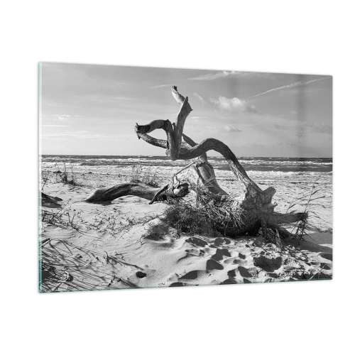 Cuadro sobre vidrio - Impresiones sobre Vidrio - Un paisaje en blanco y negro con una rama caída en una playa. - 120x80cm - Escultura marina - Decoración de pared moderna para salón y dormitorio ARTTOR