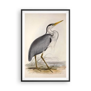 Póster en marco negro - Encanto de garza - 61x91 cm