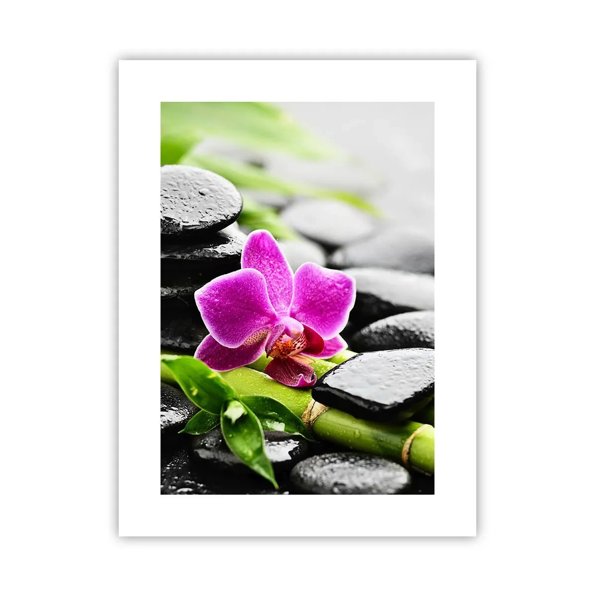 Póster - En equilibrio pacífico - 30x40 cm