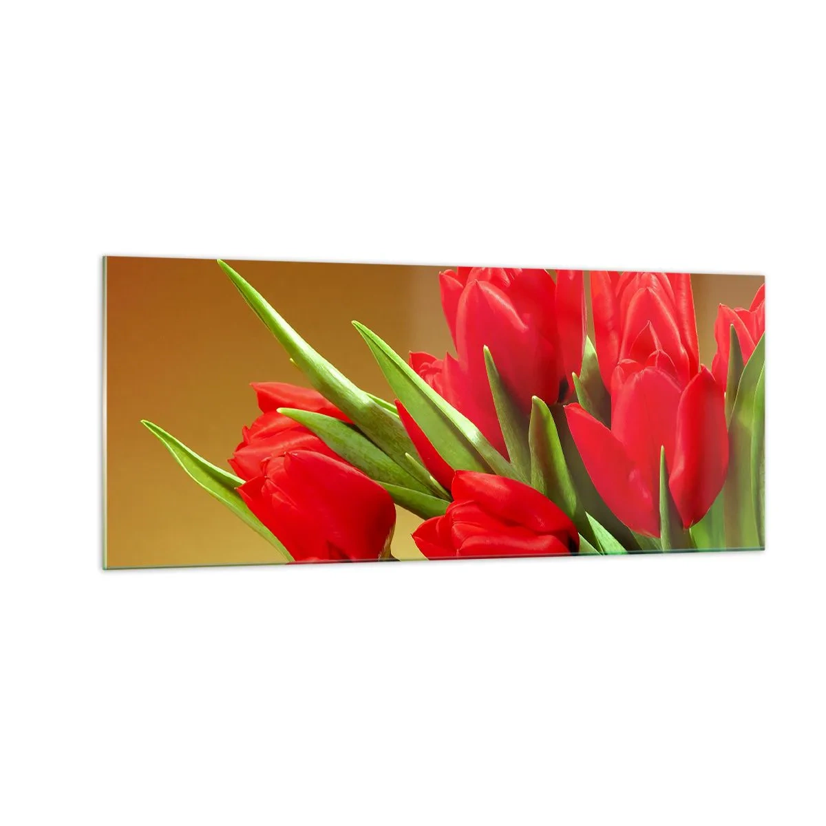 Cuadro sobre vidrio - Impresiones sobre Vidrio - Estallido de alegría primaveral - 100x40 cm
