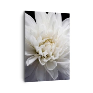 Cuadro sobre lienzo - Impresión de Imagen - Una delicada flor blanca sobre un fondo negro en una elegante composición. - 50x70cm - La novia de la mañana - Decoración de pared moderna para salón y dormitorio ARTTOR