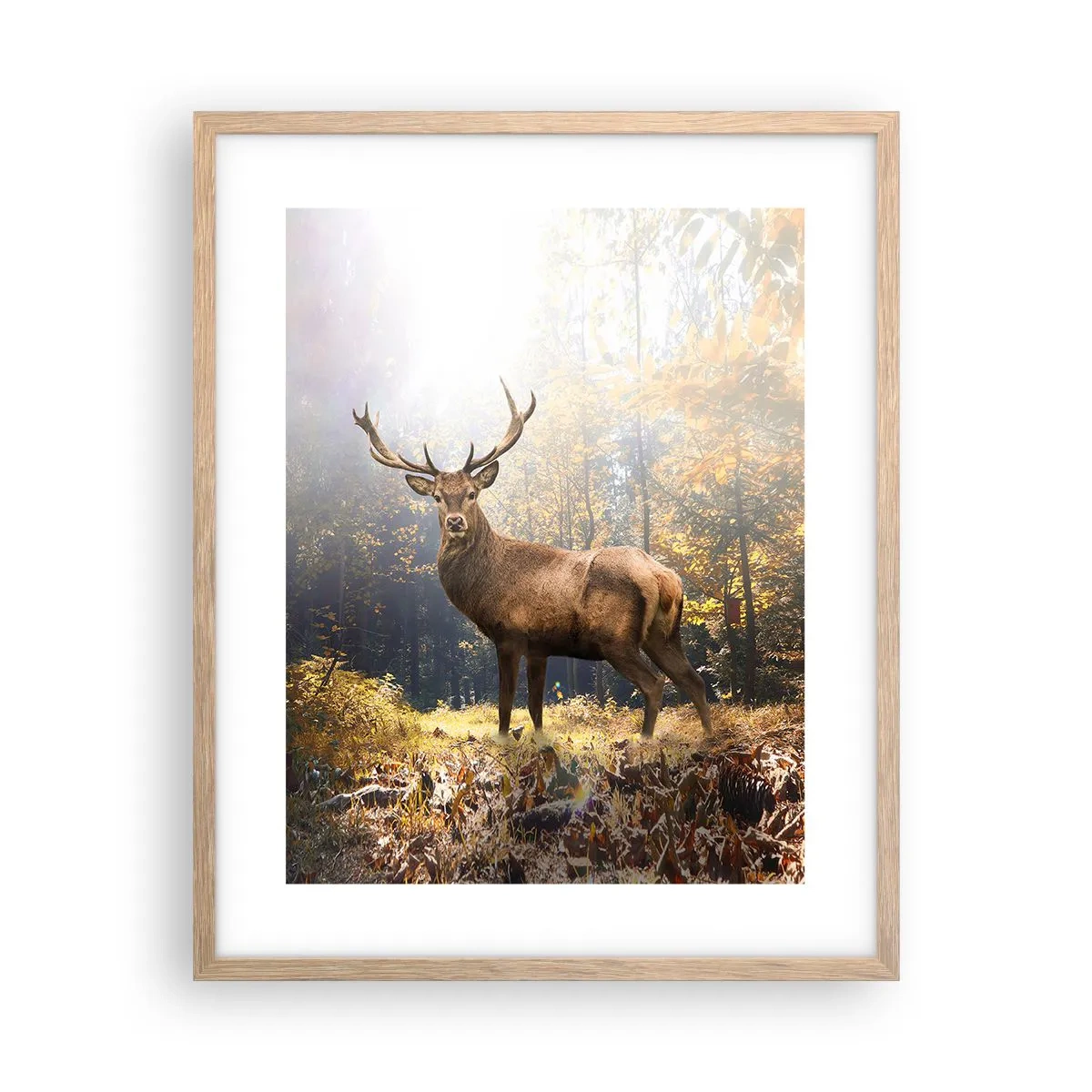 Póster en marco roble claro - Con toda la majestuosidad - 40x50 cm