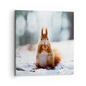 Cuadro sobre lienzo - Impresión de Imagen - ¿Qué estás mirando? - 70x70 cm