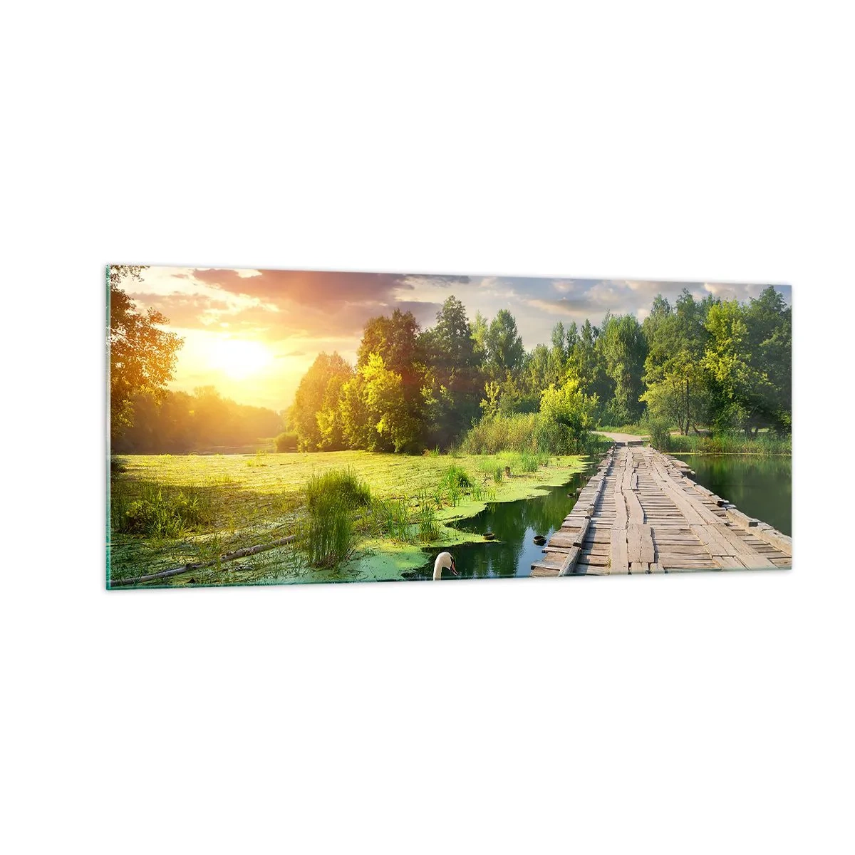 Cuadro sobre vidrio - Impresiones sobre Vidrio - Verano, verano en todas partes - 100x40 cm