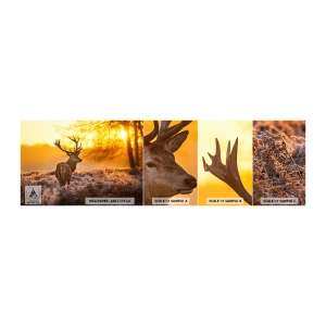 Muestra de fotomural autoadhesivo Deluxe Sticker - Rey del bosque de otoño - Paisaje, Ciervo, Naturaleza - 100x30 cm
