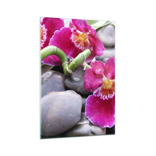Cuadro sobre vidrio - Impresiones sobre Vidrio - Orquídeas rosas sobre un fondo de piedras lisas. - 70x100cm - Frío y calor - Decoración de pared moderna para salón y dormitorio ARTTOR