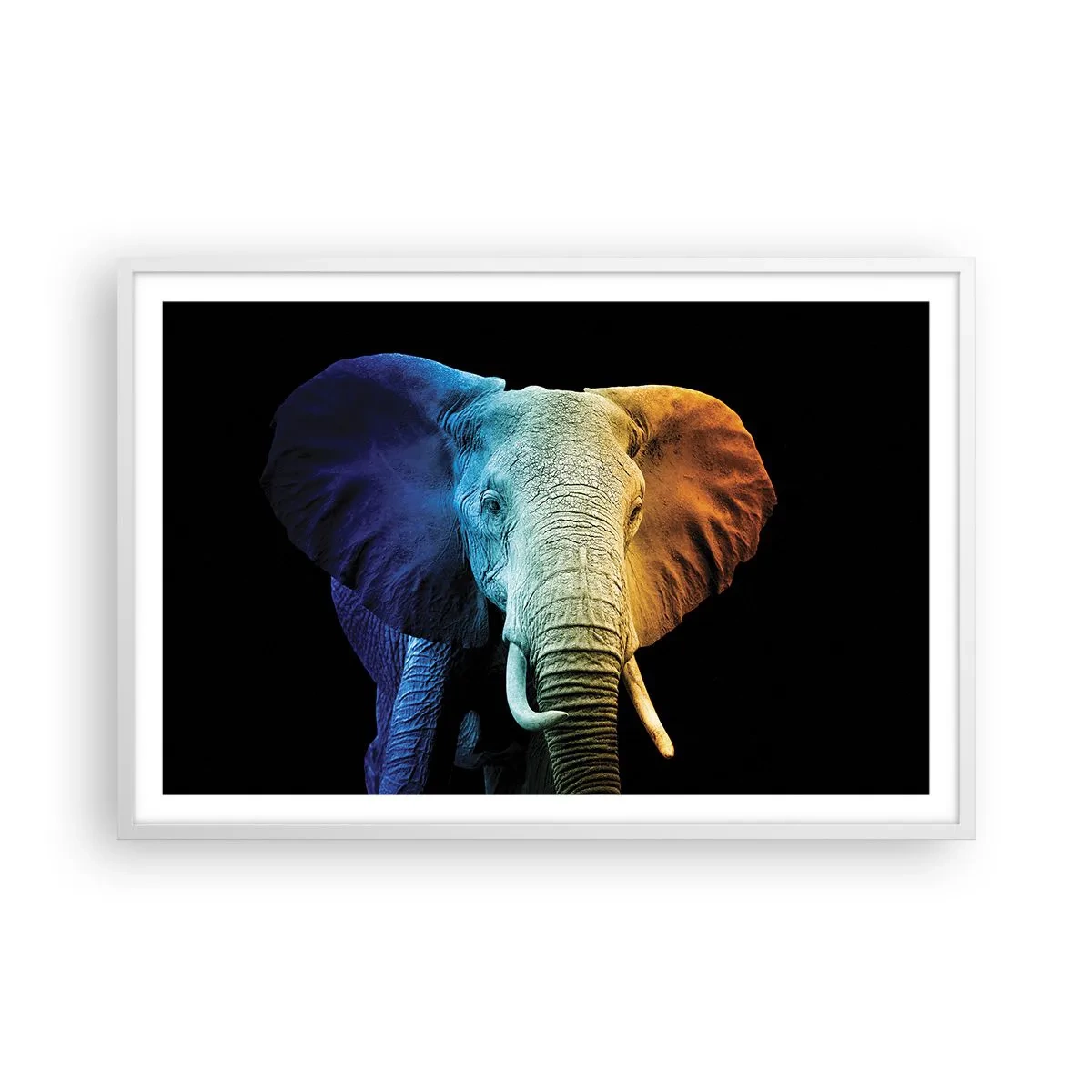 Póster en marco blanco - Excéntrico, no un bicho raro - 91x61 cm