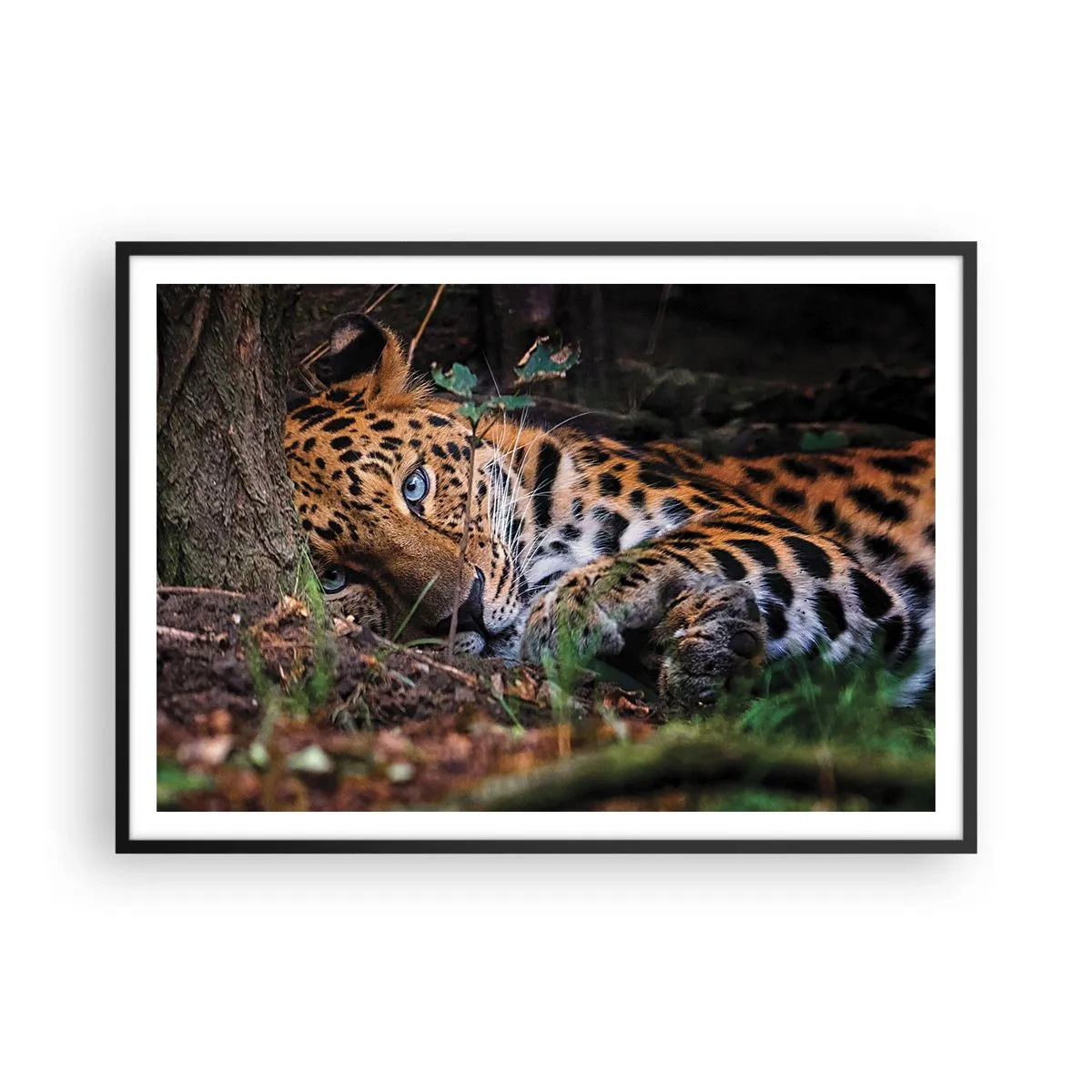 Póster en marco negro - Un leopardo tumbado a la sombra de los árboles. - 100x70cm - Confía en mí - Decoración de pared moderna para salón y dormitorio ARTTOR