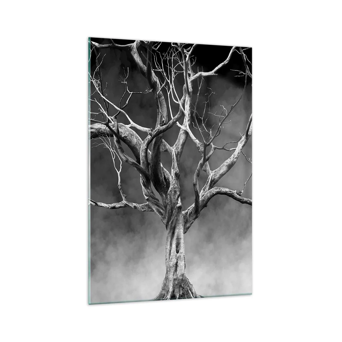 Cuadro sobre vidrio - Impresiones sobre Vidrio - Un árbol seco en blanco y negro contra la niebla. - 70x100cm - Primordial y sagrado - Decoración de pared moderna para salón y dormitorio ARTTOR