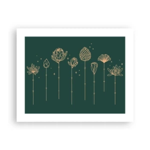 Póster - La familia vegetal - 50x40 cm