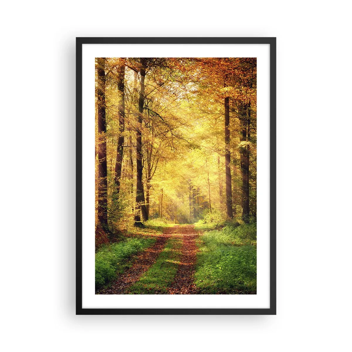 Póster en marco negro - Un sendero forestal a la luz del dorado sol otoñal. - 50x70cm - Silencio dorado del bosque - Decoración de pared moderna para salón y dormitorio ARTTOR