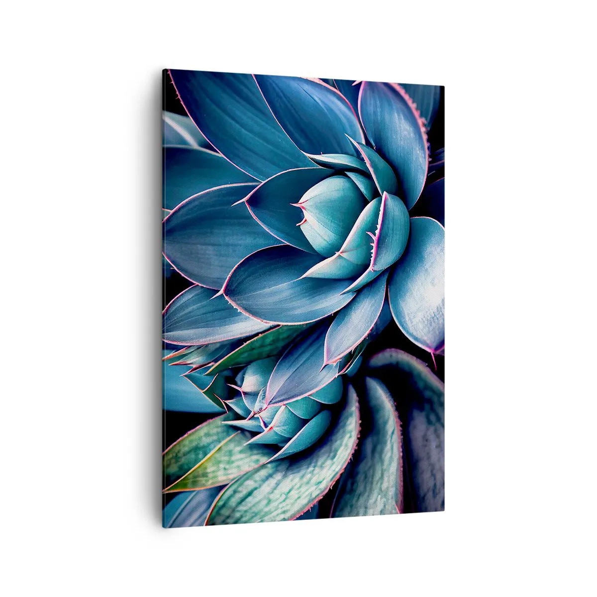 Cuadro sobre lienzo - Impresión de Imagen - Agave en tonos azules y verdes con acentos rosados. - 70x100cm - Fuerza vital - Decoración de pared moderna para salón y dormitorio ARTTOR