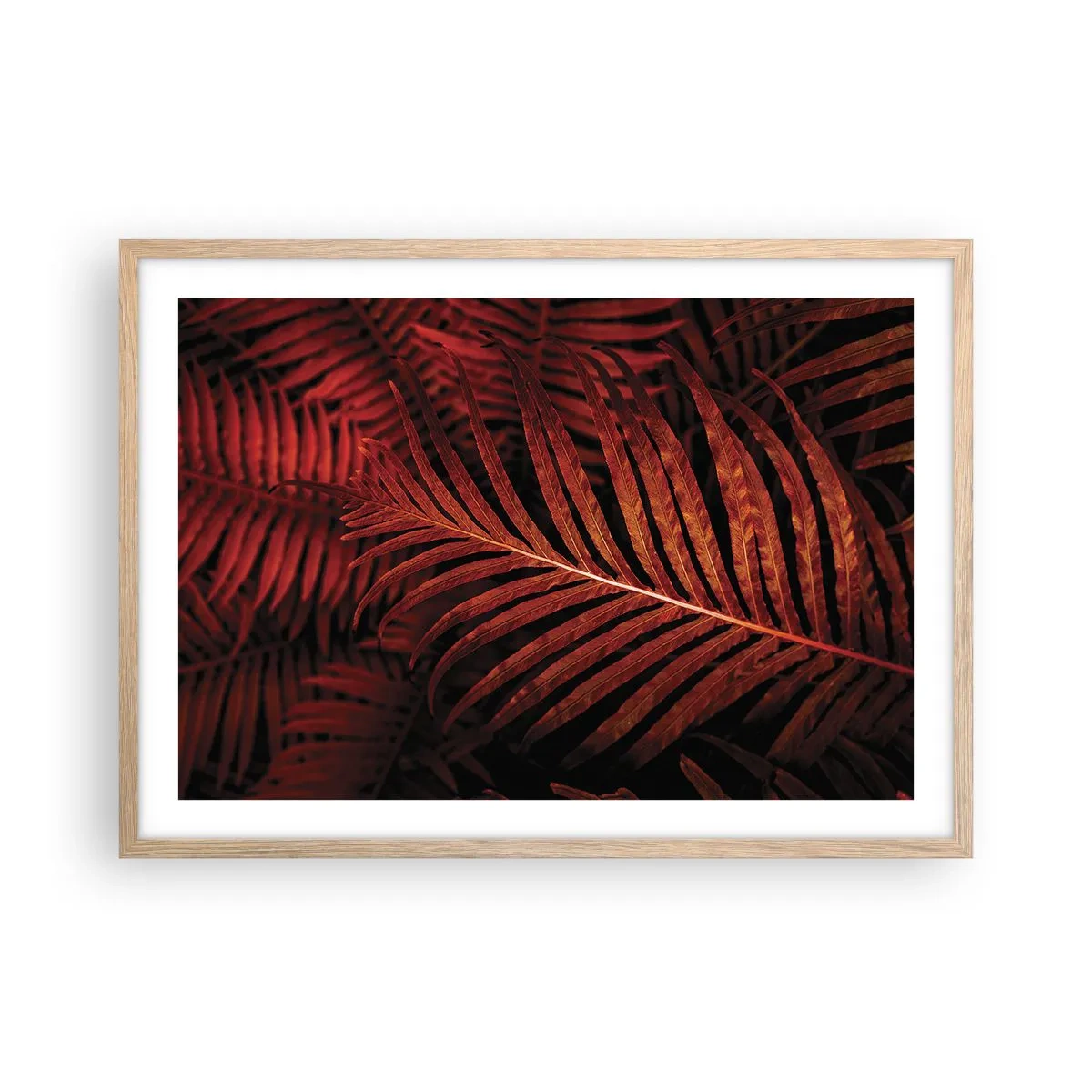 Póster en marco roble claro - Las brasas de la vida - 70x50 cm