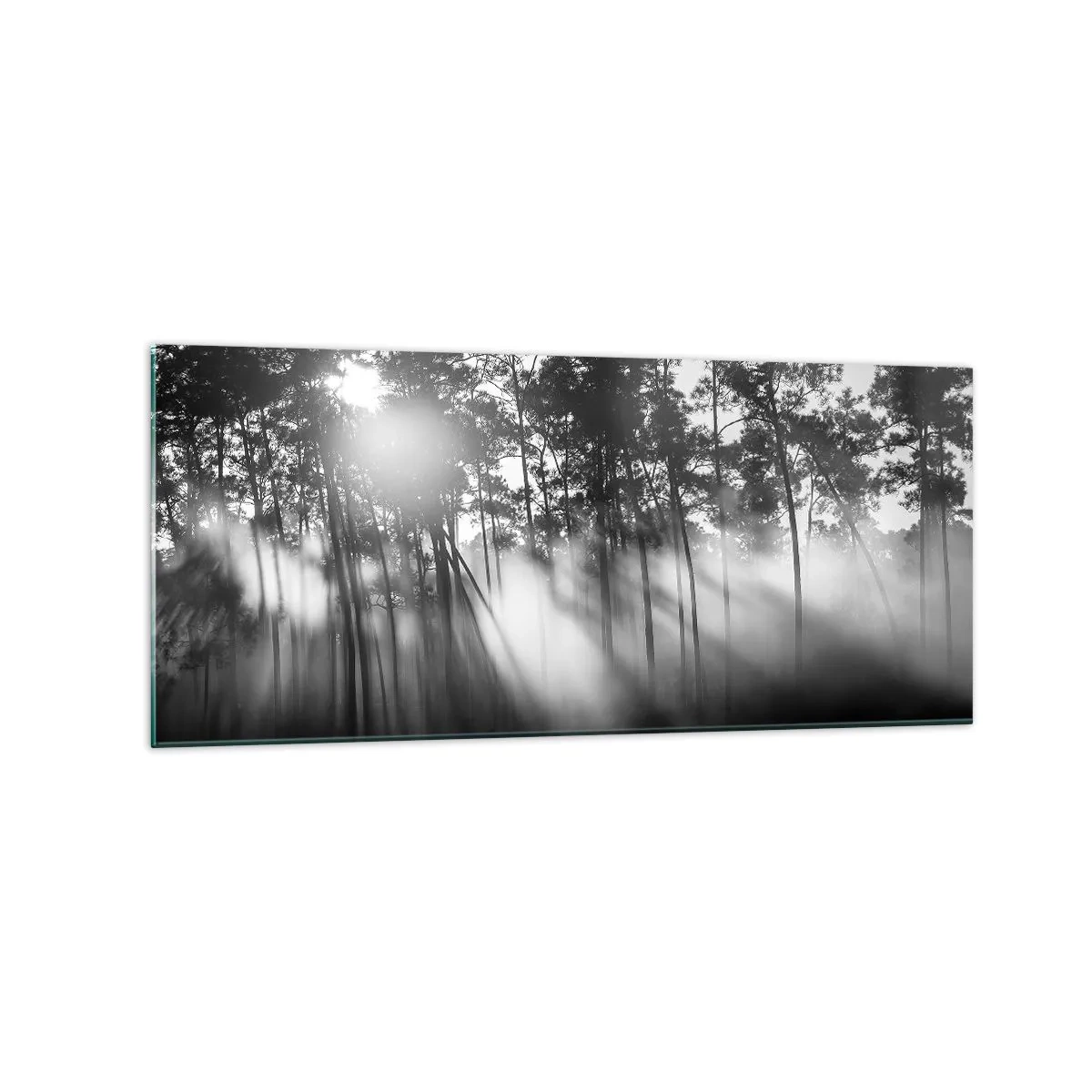 Cuadro sobre vidrio - Impresiones sobre Vidrio - Bosque blanco y negro en la niebla de la mañana. - 120x50cm - Sol imparable - Decoración de pared moderna para salón y dormitorio ARTTOR