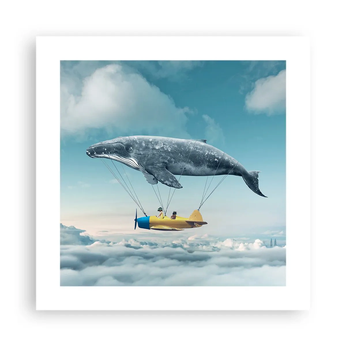 Póster - ¿Por qué no? - 40x40 cm