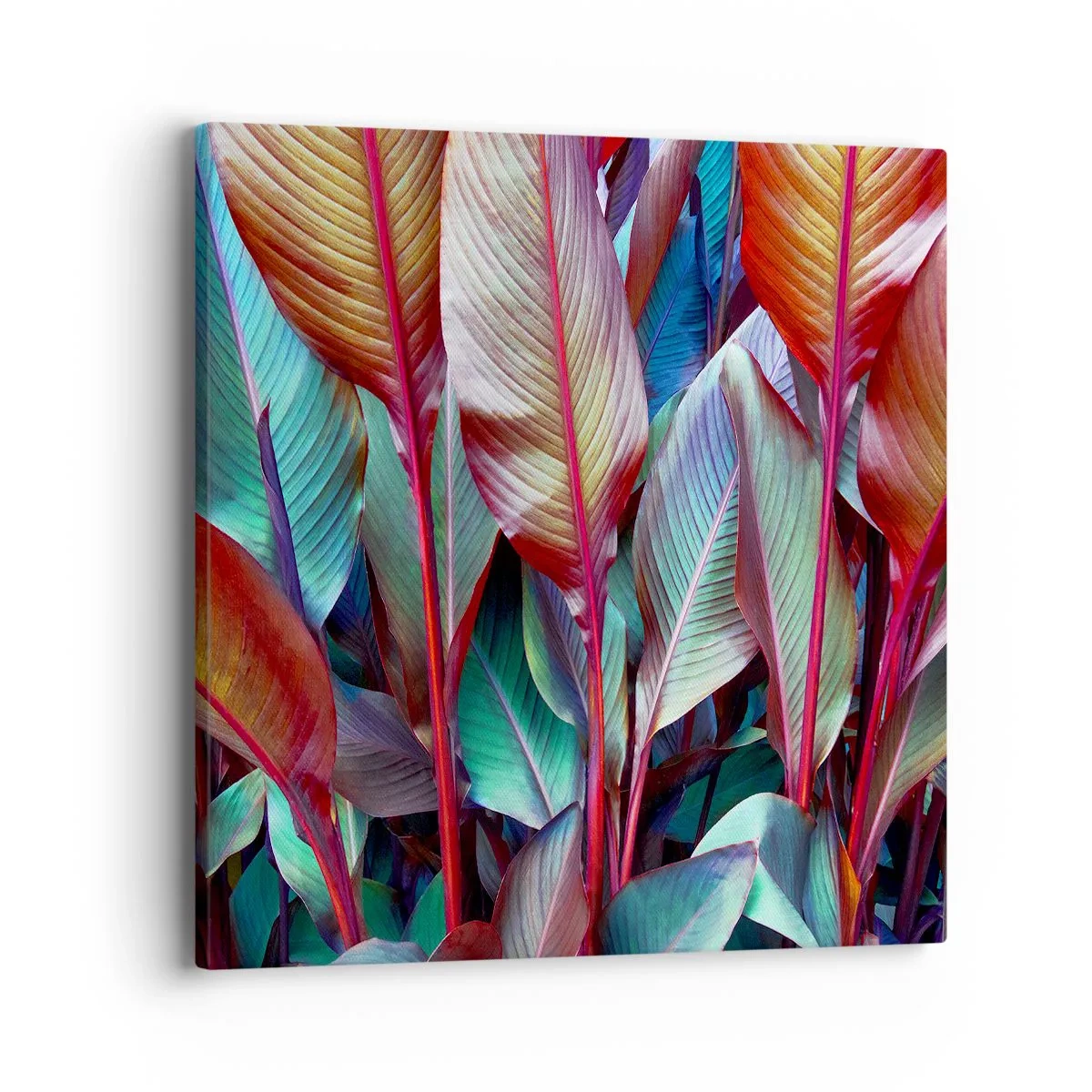 Cuadro sobre lienzo - Impresión de Imagen - Un matorral de colores - 40x40 cm