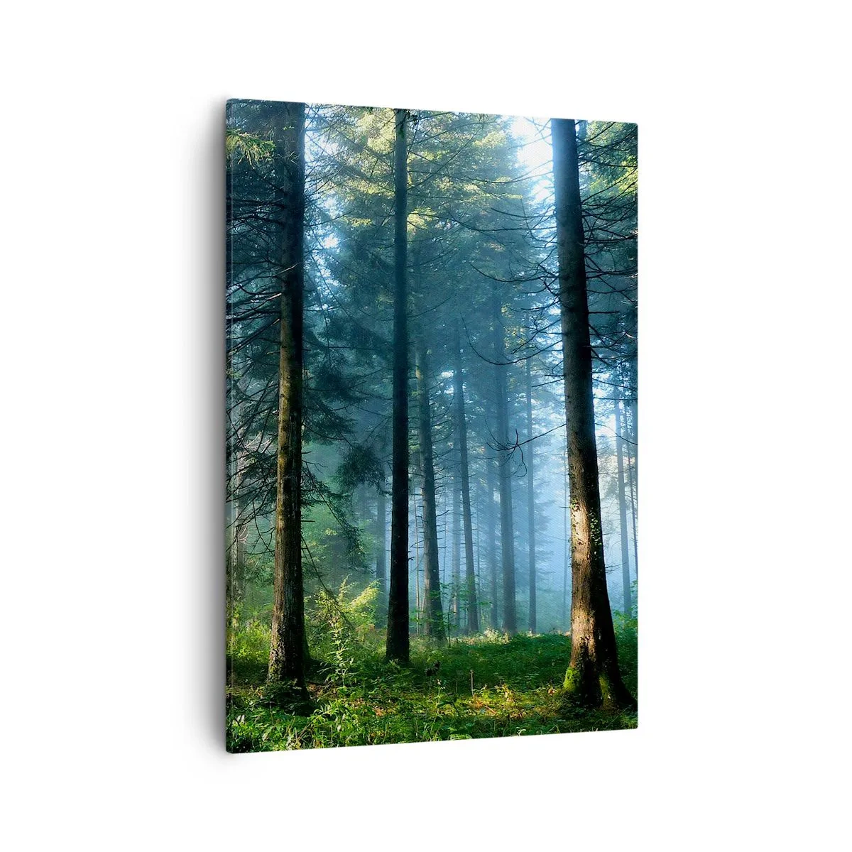 Cuadro sobre lienzo - Impresión de Imagen - Un sendero forestal iluminado por los rayos del sol de la mañana. - 50x70cm - Radiante por la mañana - Decoración de pared moderna para salón y dormitorio ARTTOR