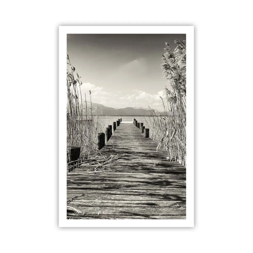 Póster - En la quietud de los juncos - 61x91 cm