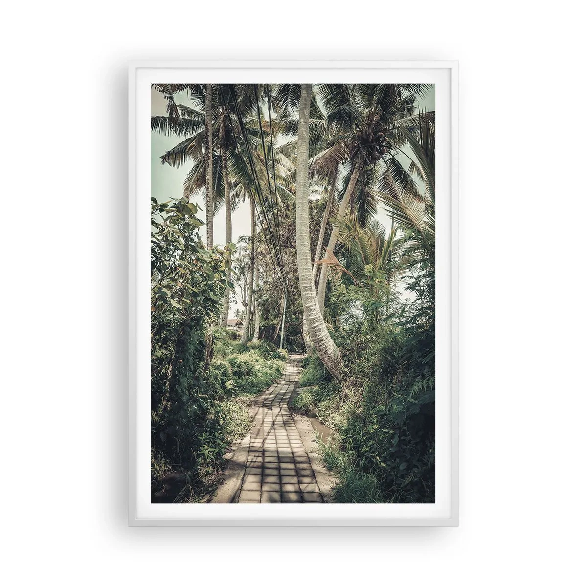 Póster en marco blanco - Avenida de palmeras - 70x100 cm