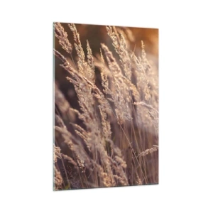 Cuadro sobre vidrio - Impresiones sobre Vidrio - Hierbas doradas iluminadas por los rayos del sol poniente - 50x70cm - Listos para dar la bienvenida al otoño - Decoración de pared moderna para salón y dormitorio ARTTOR