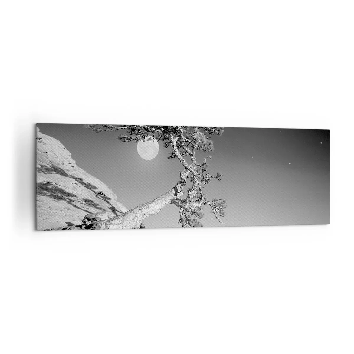 Cuadro sobre lienzo - Impresión de Imagen - Árbol en blanco y negro en un acantilado con la luna al fondo - 160x50cm - Un guerrero victorioso - Decoración de pared moderna para salón y dormitorio ARTTOR