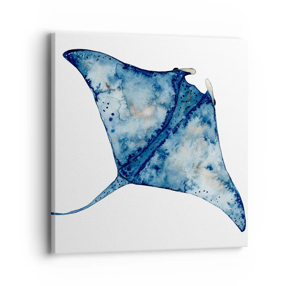 Cuadro sobre lienzo - Impresión de Imagen - La vida en azul - 40x40 cm