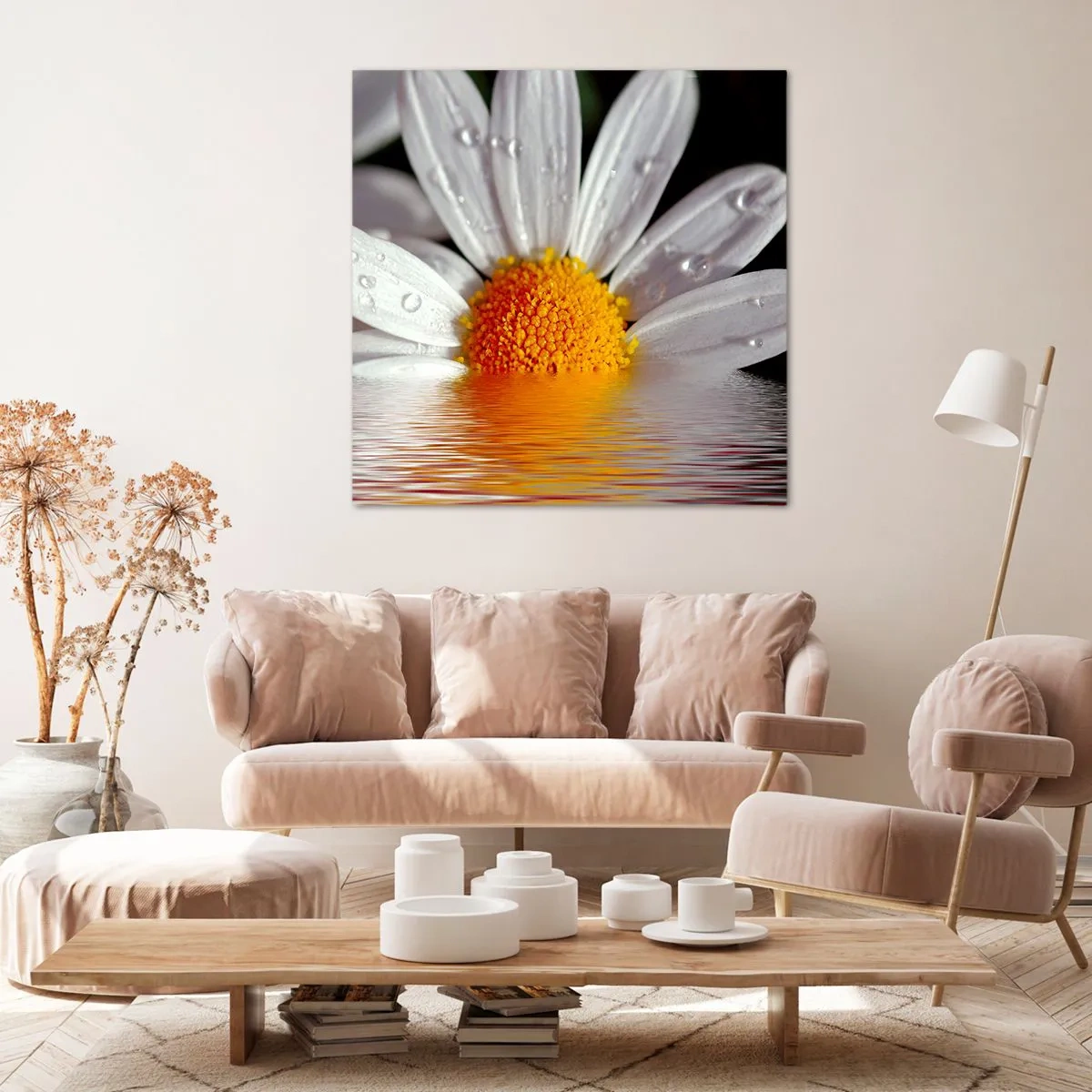Cuadro sobre lienzo - Impresión de Imagen - El sol naciente de una margarita - 40x40 cm
