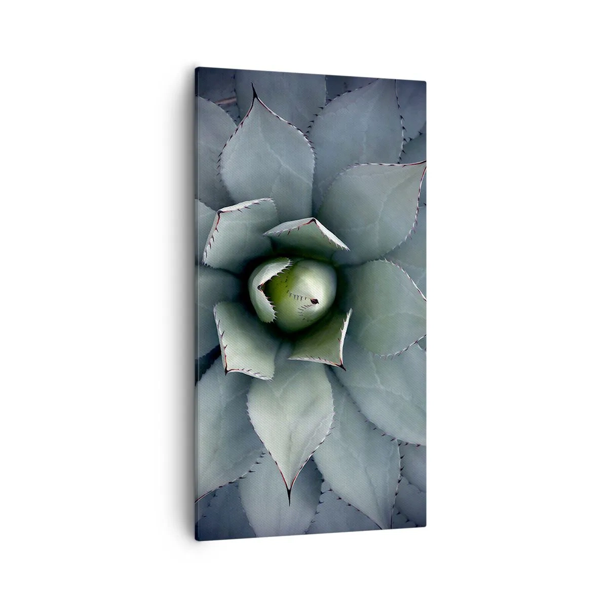 Cuadro sobre lienzo - Impresión de Imagen - Perfección natural - 55x100 cm