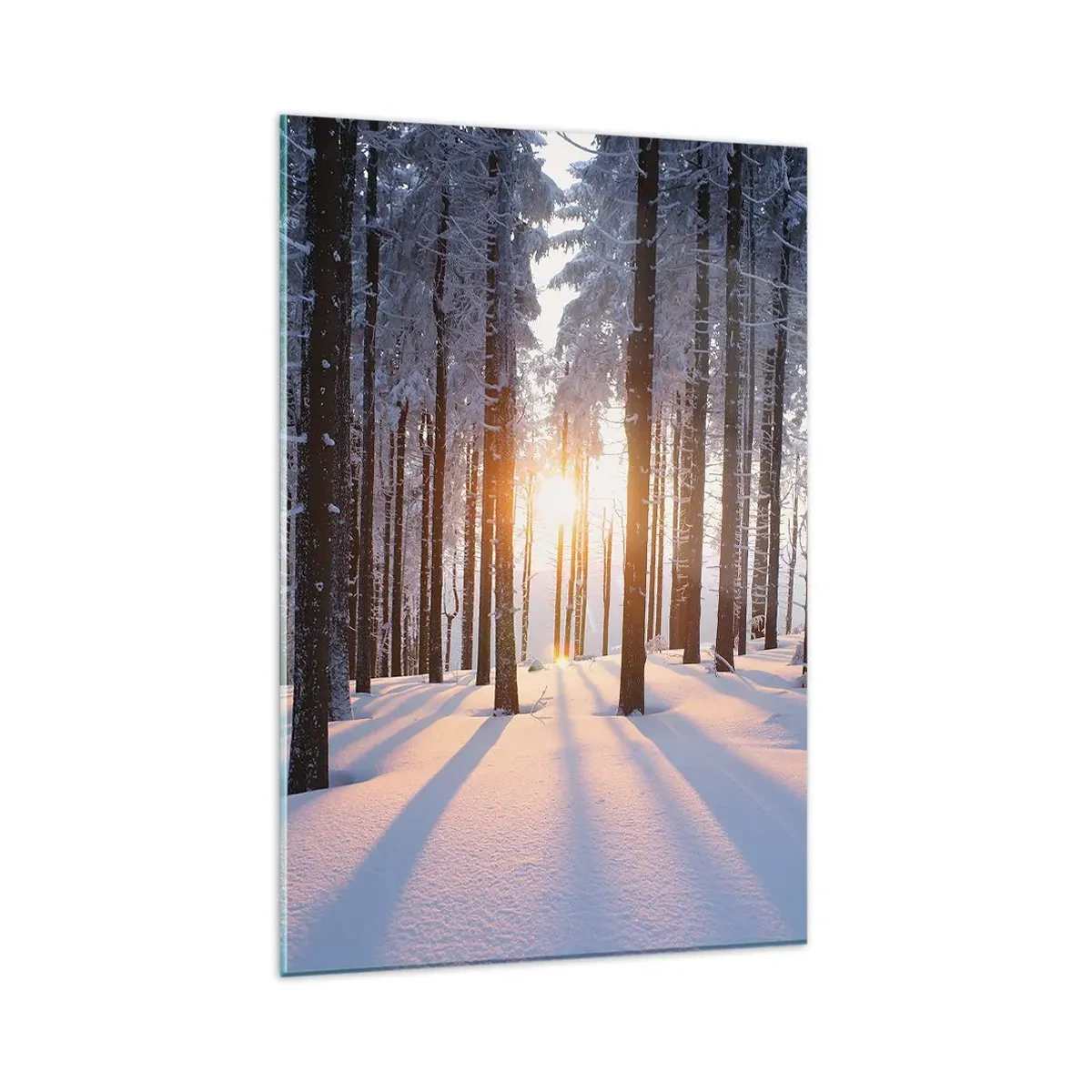 Cuadro sobre vidrio - Impresiones sobre Vidrio - Bosque invernal iluminado por los rayos del sol. - 80x120cm - Claramente en blanco y negro - Decoración de pared moderna para salón y dormitorio ARTTOR