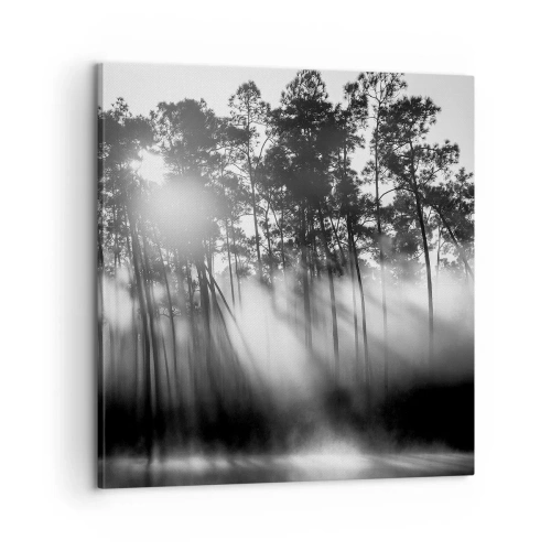 Cuadro sobre lienzo - Impresión de Imagen - Sol imparable - 60x60 cm