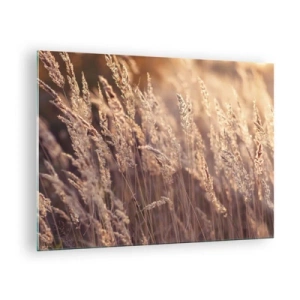 Cuadro sobre vidrio - Impresiones sobre Vidrio - Hierbas doradas iluminadas por los rayos del sol poniente - 70x50cm - Listos para dar la bienvenida al otoño - Decoración de pared moderna para salón y dormitorio ARTTOR