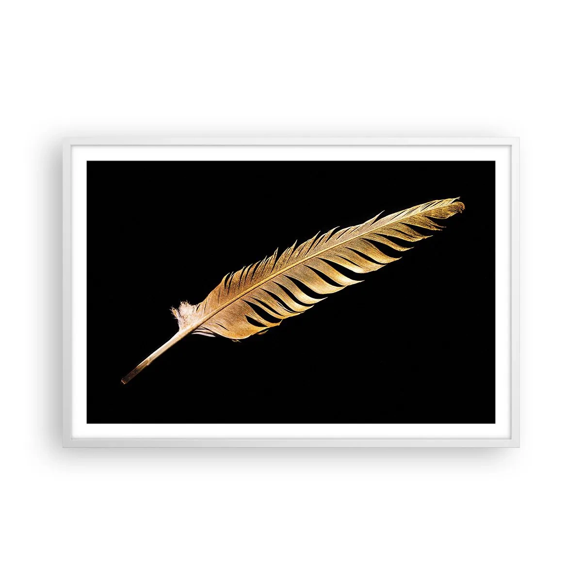 Póster en marco blanco - Pluma de alta calidad - 91x61 cm