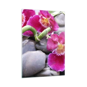 Cuadro sobre vidrio - Impresiones sobre Vidrio - Orquídeas rosas con bambú sobre piedras. - 50x70cm - Frío y calor - Decoración de pared moderna para salón y dormitorio ARTTOR