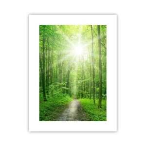 Póster - Catedral verde - 30x40 cm