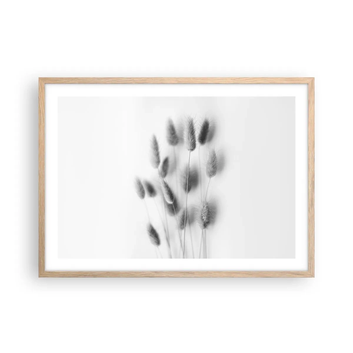 Póster en marco roble claro - Esponjas naturales - 70x50 cm