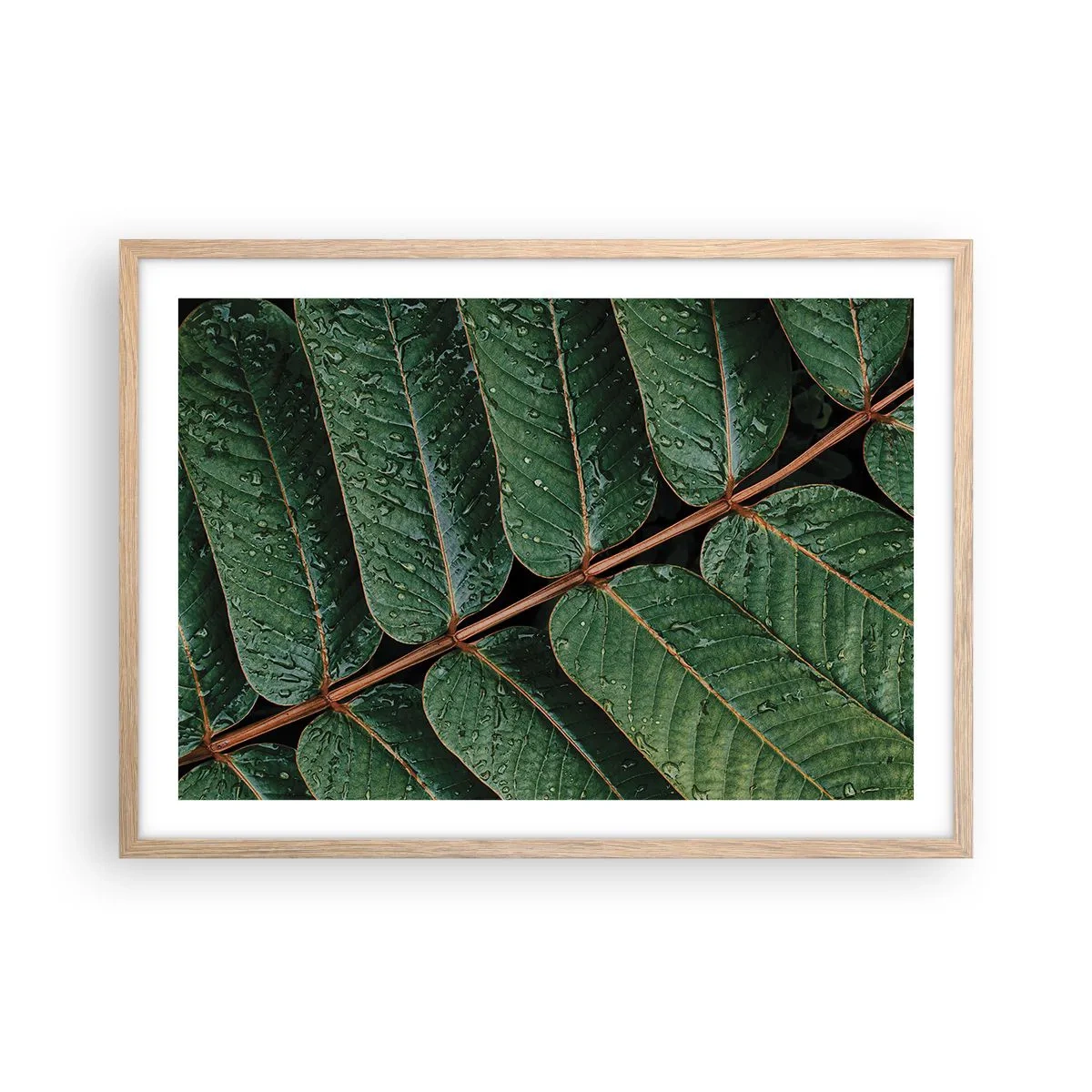 Póster en marco roble claro - En un ritmo verde - 70x50 cm
