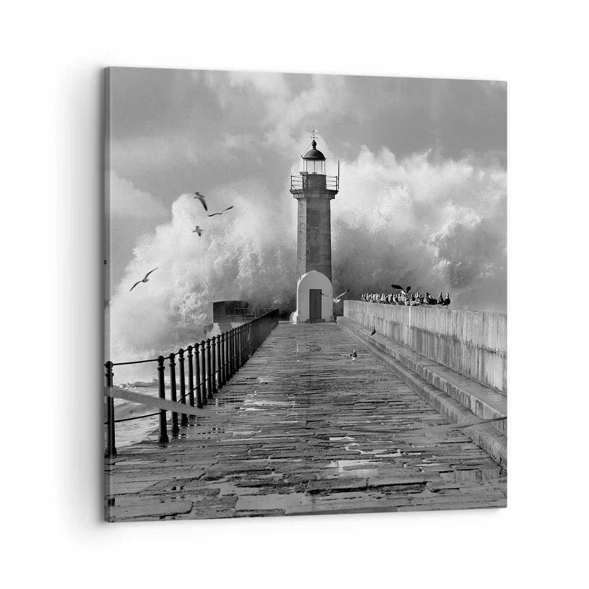 Cuadro sobre lienzo - Impresión de Imagen - Audaz - 60x60 cm