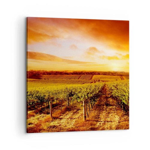 Cuadro sobre lienzo - Impresión de Imagen - Delicadamente afrutado con un toque de sol - 60x60 cm