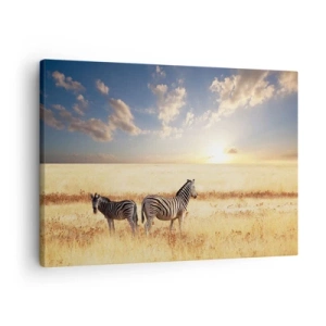 Cuadro sobre lienzo - Impresión de Imagen - Dos cebras en la sabana bajo los rayos del sol poniente. - 70x50cm - Vete, no perturbes la paz - Decoración de pared moderna para salón y dormitorio ARTTOR