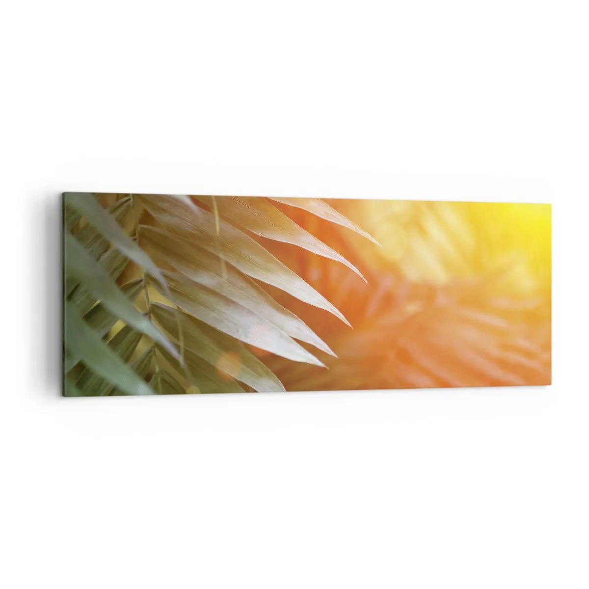 Cuadro sobre lienzo - Impresión de Imagen - Hojas de palma en los rayos del atardecer. - 140x50cm - Mañana en la selva - Decoración de pared moderna para salón y dormitorio ARTTOR