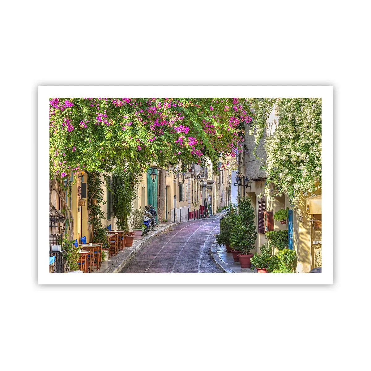 Póster - Un callejón floreciente - 91x61 cm