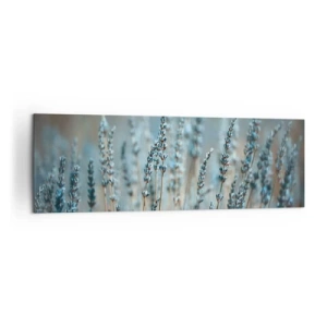 Cuadro sobre lienzo - Impresión de Imagen - Lavanda en el campo en sutiles tonos pastel. - 160x50cm - Fragante pasto - Decoración de pared moderna para salón y dormitorio ARTTOR