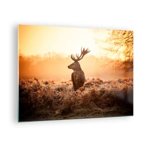 Cuadro sobre vidrio - Impresiones sobre Vidrio - Ciervos con el amanecer como telón de fondo en un paisaje natural. - 70x50cm - Un líder por derecho - Decoración de pared moderna para salón y dormitorio ARTTOR