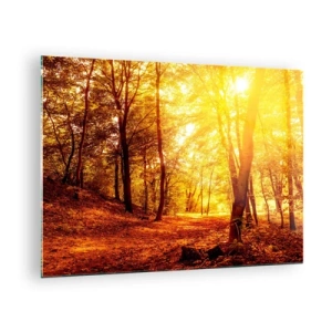 Cuadro sobre vidrio - Impresiones sobre Vidrio - Bosque otoñal iluminado por el cálido resplandor del sol. - 70x50cm - Hacia un claro de oro - Decoración de pared moderna para salón y dormitorio ARTTOR