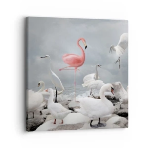 Cuadro sobre lienzo - Impresión de Imagen - ¿De dónde vengo? - 30x30 cm